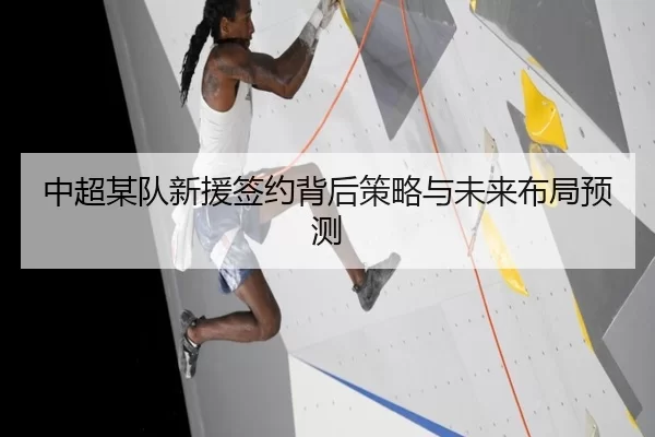中超某队新援签约背后策略与未来布局预测